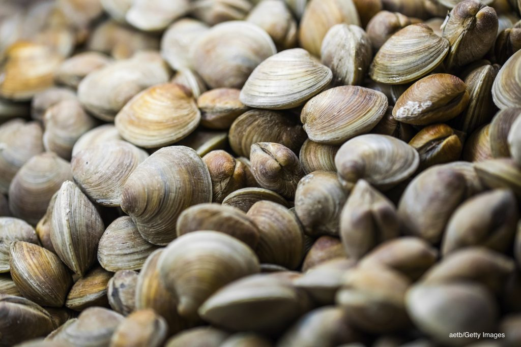 shellfish as a nutrient-dense food